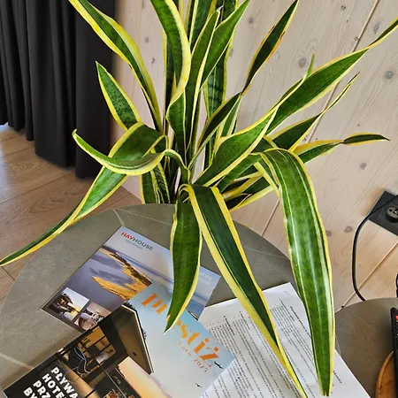 Na Wodzie, Apartamenty, Houseboat, Jezioro Bukowo, Mierzeja 