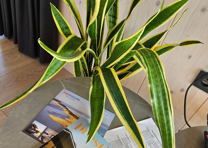 Na Wodzie, Apartamenty, Houseboat, Jezioro Bukowo, Mierzeja Natura Dąbkowice 5g Dąbki