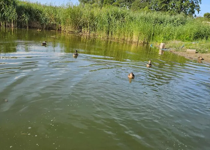 Apartament Na Wodzie, Apartamenty, Houseboat, Jezioro Bukowo, Mierzeja Natura Dąbkowice 5g Dąbki