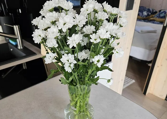 Na Wodzie, Apartamenty, Houseboat, Jezioro Bukowo, Mierzeja Natura Dąbkowice 5g Dąbki